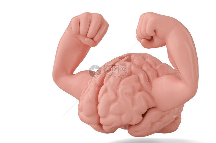 大脑和肌肉强壮的大脑3D插图图片