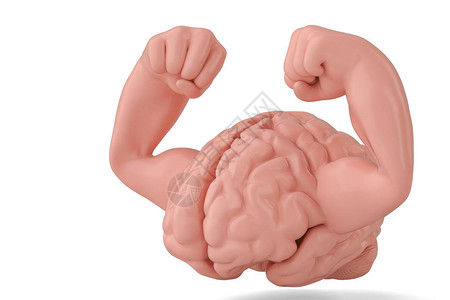 大脑和肌肉强壮的大脑3D插图图片