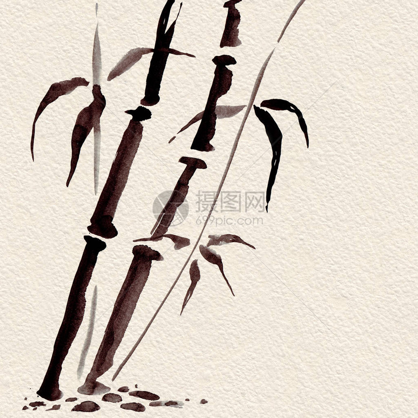 风格的竹子美丽的水图片