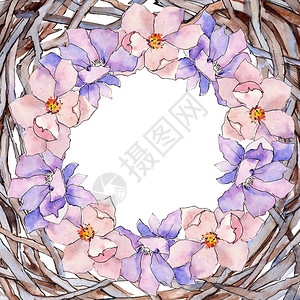水彩风格的野花玉兰花框背景图片