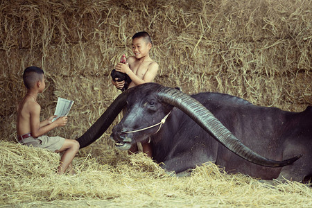 泰国农村儿童的生活方式图片