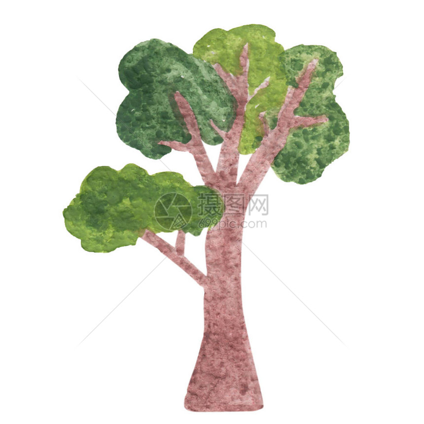 水彩树与孤立的白色背景上的绿叶图片
