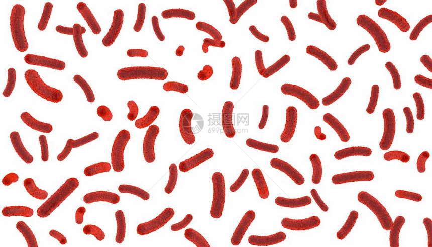 白色孤立背景的体内红细菌图片
