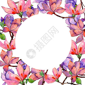 水彩风格的野花玉兰花框图片