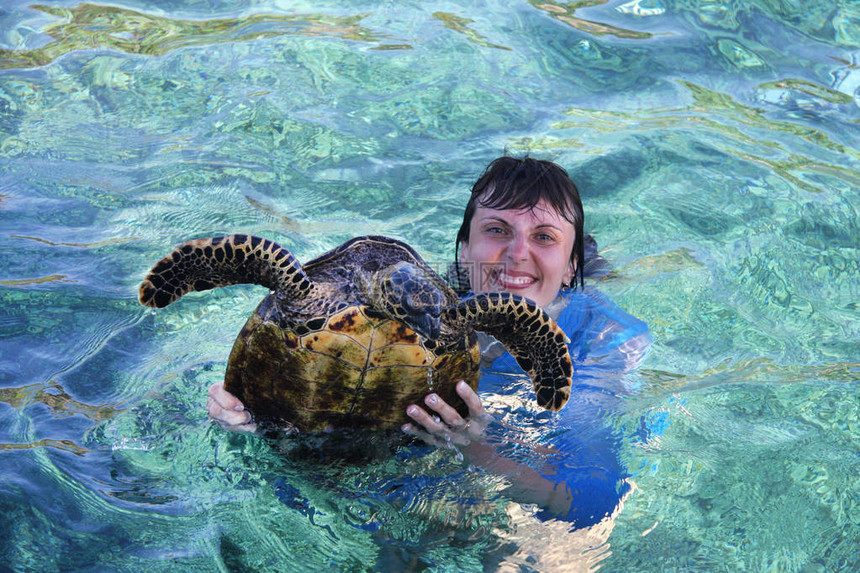 快乐的女孩抓住了一只海龟图片