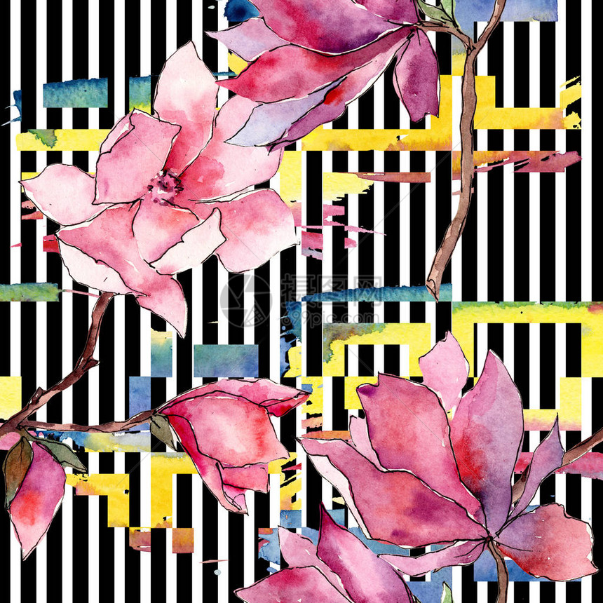 粉红色的玉兰花卉植物花野生春叶野花图案背景纹理包装图案框架或边框图片