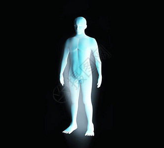 男肌肉系统解剖图蓝色人类铁图片