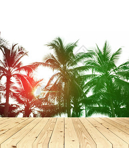 太阳光照亮棕榈树图片