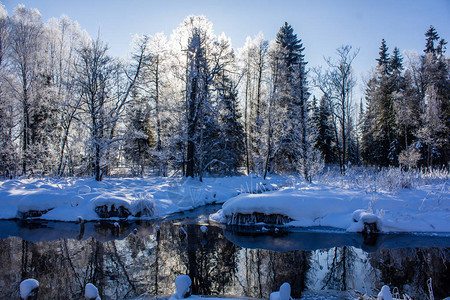 白雪皑的冬季公园冬天阳光明媚的霜天公园里发生了严重的霜冻俄罗图片