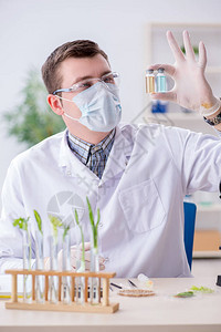 在植物实验室工作的男生物化学家图片