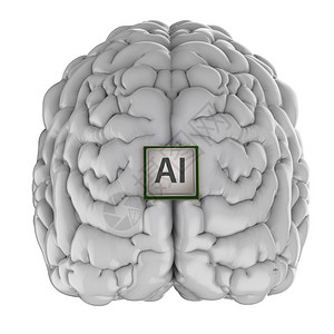 3D使白上孤立的脑部与Ai相隔离的c图片