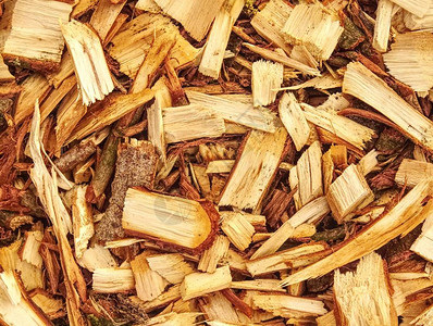 木屑和锯散物的碎屑可用于生物燃料制造背景图片