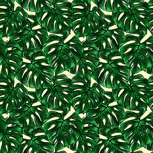 绿色怪兽叶热带植物水彩墨线画手绘制草图背景