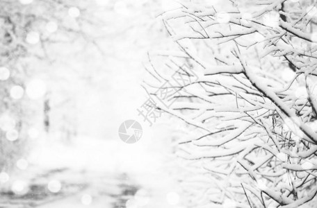 白雪皑的冰冻冬季道路雪地上的轮胎痕迹雨夹雪后的森林单色冬季森林景观冬天在乡背景图片