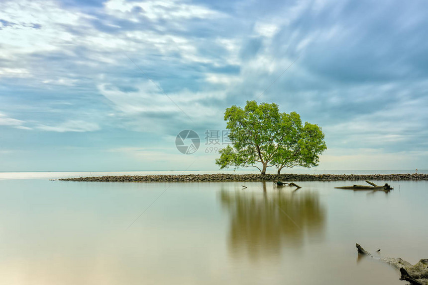 黎明在海滩上图片