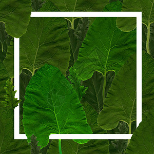 绿色无缝背景的树叶图片