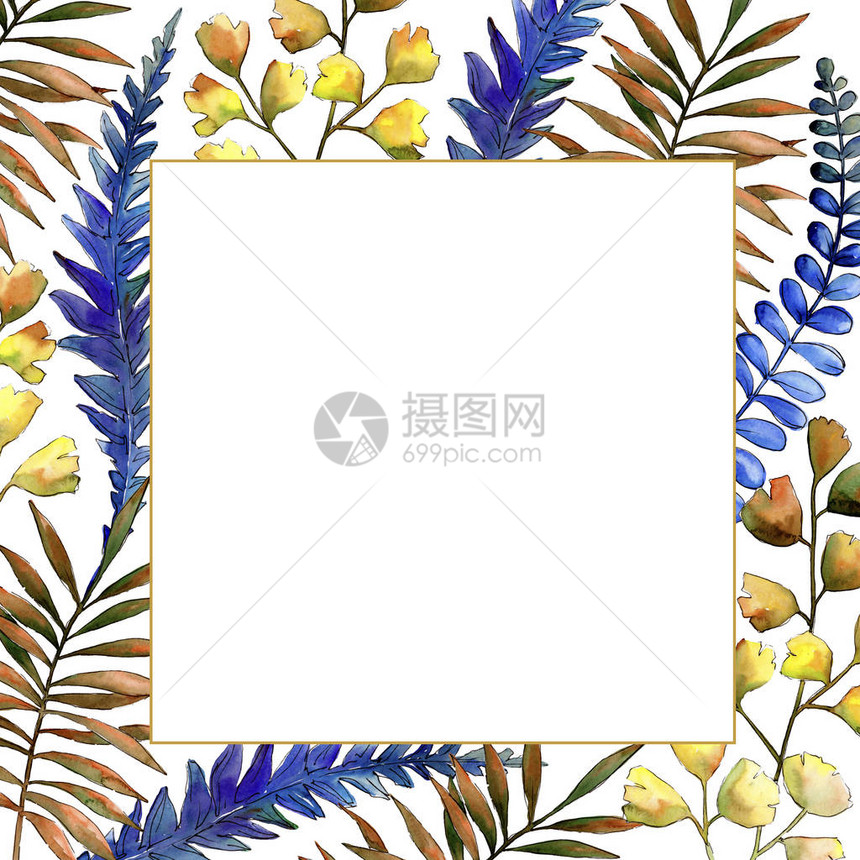 水彩五颜六色的刹车植物叶植物园花卉叶子框架边框装饰广场背景纹理包装图案框架或边图片