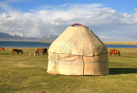 马在伊塞克湖湖的大草地上在吉尔吉斯斯坦的纳伦图片