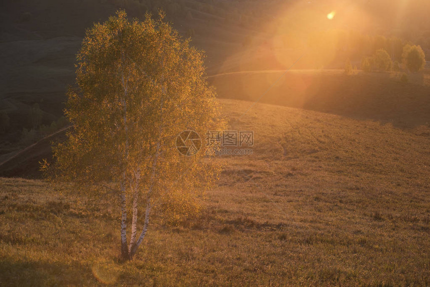 阿勒泰山中的美丽日出全景图片图片