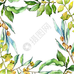 水彩毛竹绿叶植物园花卉叶子框架边框装饰广场背景纹理包装图案框架或边图片