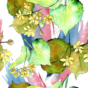 水彩椴树绿叶植物园花卉叶子无缝背景图案织物壁纸打印纹理背景纹理包装图背景图片