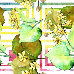 水彩椴树绿叶植物园花卉叶子无缝背景图案织物壁纸打印纹理背景纹理包装图图片
