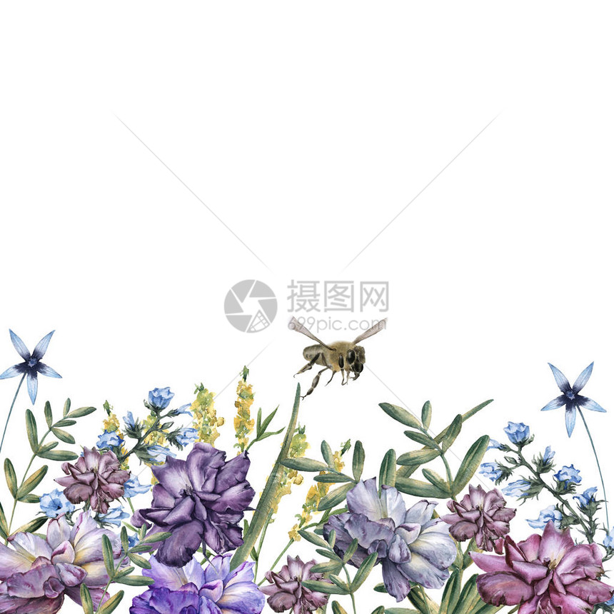 玫瑰与野花和蜜蜂的组成在白色背景上隔图片