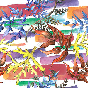 蕨叶闸植物园花卉叶子无缝背景图案织物壁纸打印纹理背景纹理包装图案框架或边背景图片