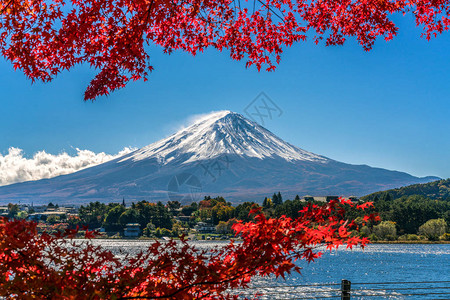 富士山日本多彩秋天湖河口湖是在日本享受的枫叶变化的颜色使图像的那些叶子框架富士山富士山风景最好的地方之一背景图片