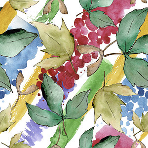 绿色的枫叶植物园花卉叶子无缝背景图案织物壁纸打印纹理背景纹理包装图案框架或边背景图片