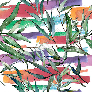 水彩绿柳树枝叶植物园花卉叶子无缝背景图案织物壁纸打印纹理背景纹理包装图背景图片
