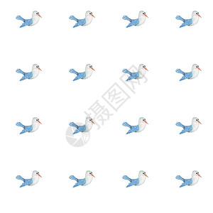 与水颜色彩可爱的鸟可爱海鸥飞行图片