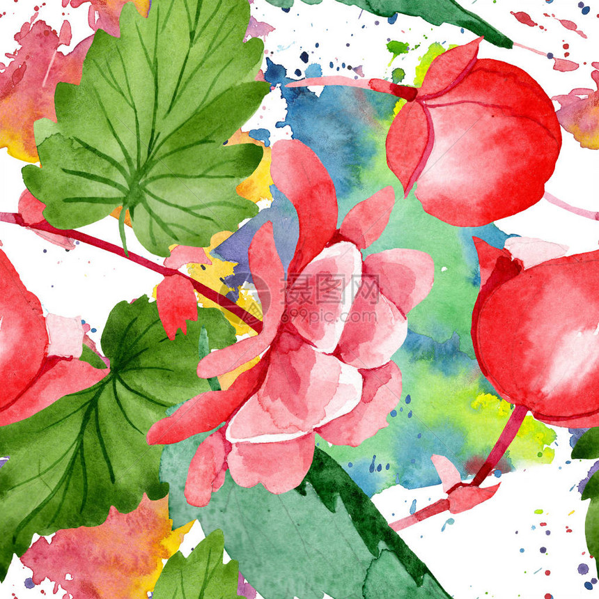 水彩粉红海棠花花卉植物花无缝背景图案织物壁纸印花背景包装图案框架或边框的水花野花图片