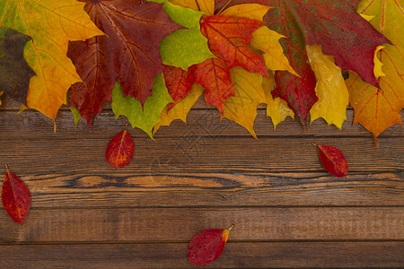 秋天横幅黄叶挂在木质纹理背景上感恩图片