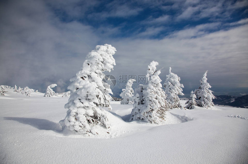 山上寒冬雪的冬天背景山上有覆图片