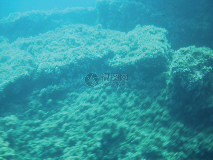 海水珊瑚礁水下背图片