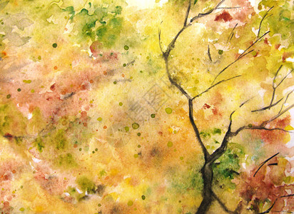 黄橙绿树叶枝纹底背景背景图片