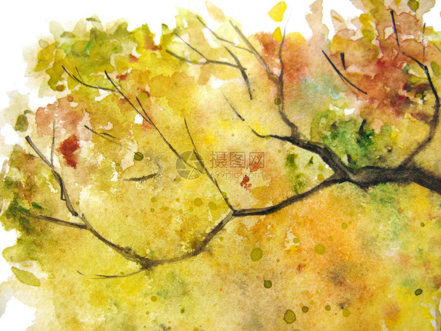 黄橙绿树叶枝纹底背景图片