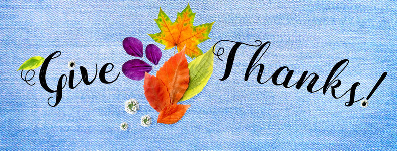 横向覆盖感恩节快乐网站手写字体拼图和雕刻的秋叶锥形花朵和花瓣平顶视背景图片