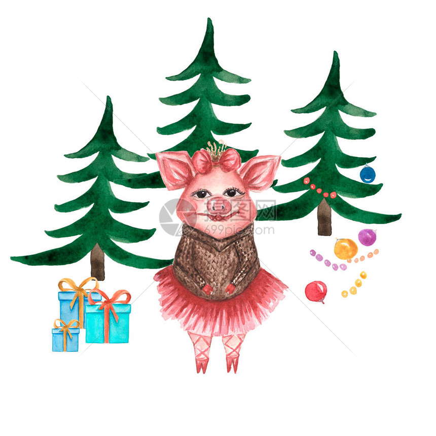 水彩色可爱的猪白底隔离的圣诞树卡通小猪图画最适合制作贺卡生日请柬和婴儿育婴室设计图片