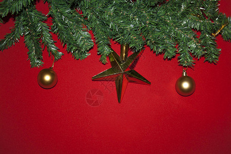 盛装的圣诞树特写日记和背景图片