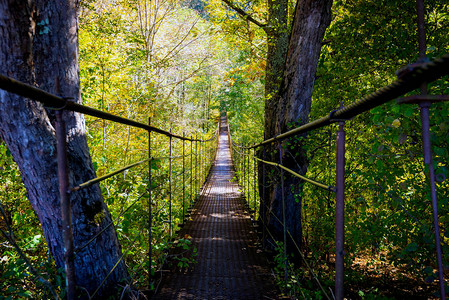 秋天穿过森林的狭窄金属脚桥图片