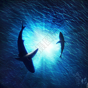 两只鲨鱼在水下围成一圈的插图图片