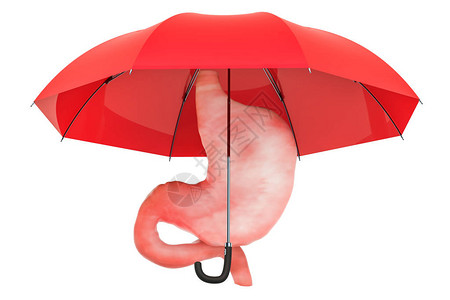 在保护伞下人类的胃保护概念3D在白图片