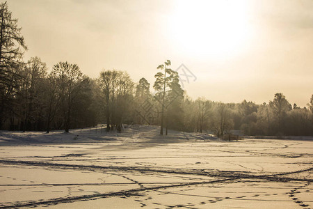 天气晴朗的冬季景观日落时的霜日光图片