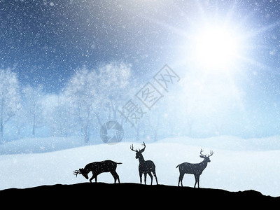 带有鹿剪影的冬季雪景的3D渲染图片