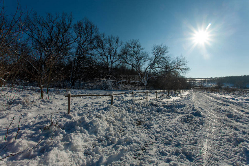 冬季在寒冬的阳光日落下雪时图片