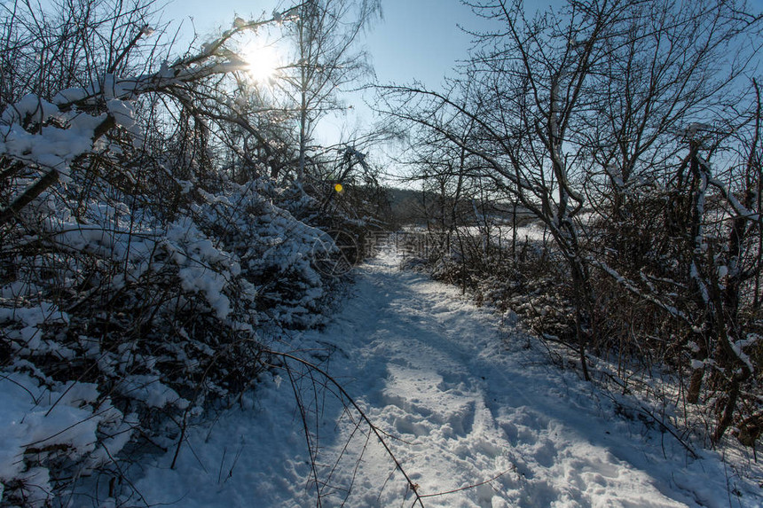 冬季在寒冬的阳光日落下雪时图片