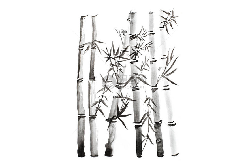手工画竹叶和树枝图片