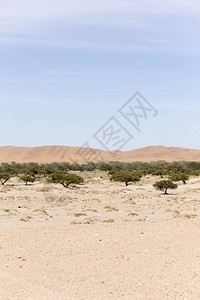 纳米布沙漠观蓝天上图片